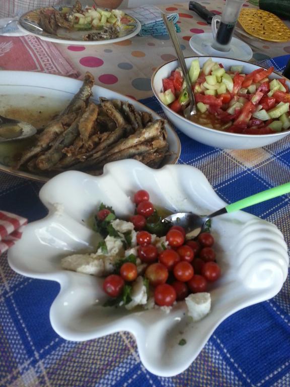 Bed and Breakfast Bellavista Peljesac Peninsula Dubrava  Esterno foto